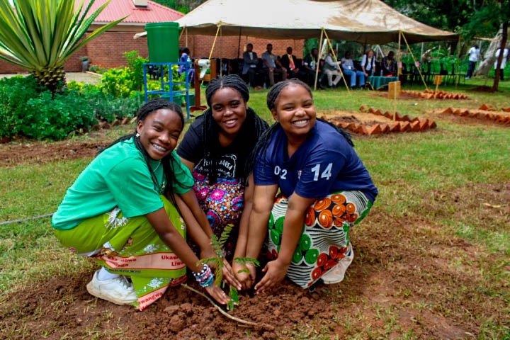Kamuzu Academy Annual Tree Planting exercise 2025 - Image 6